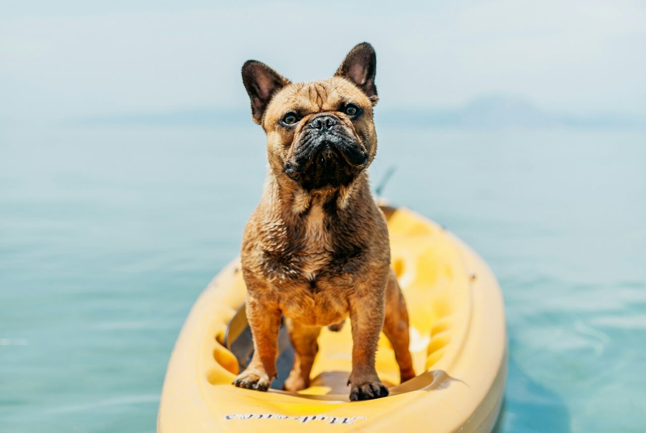 【2025.11／月次報告】ブログ100記事更新。週１投稿に変更します（民泊で月利100万を目指します）