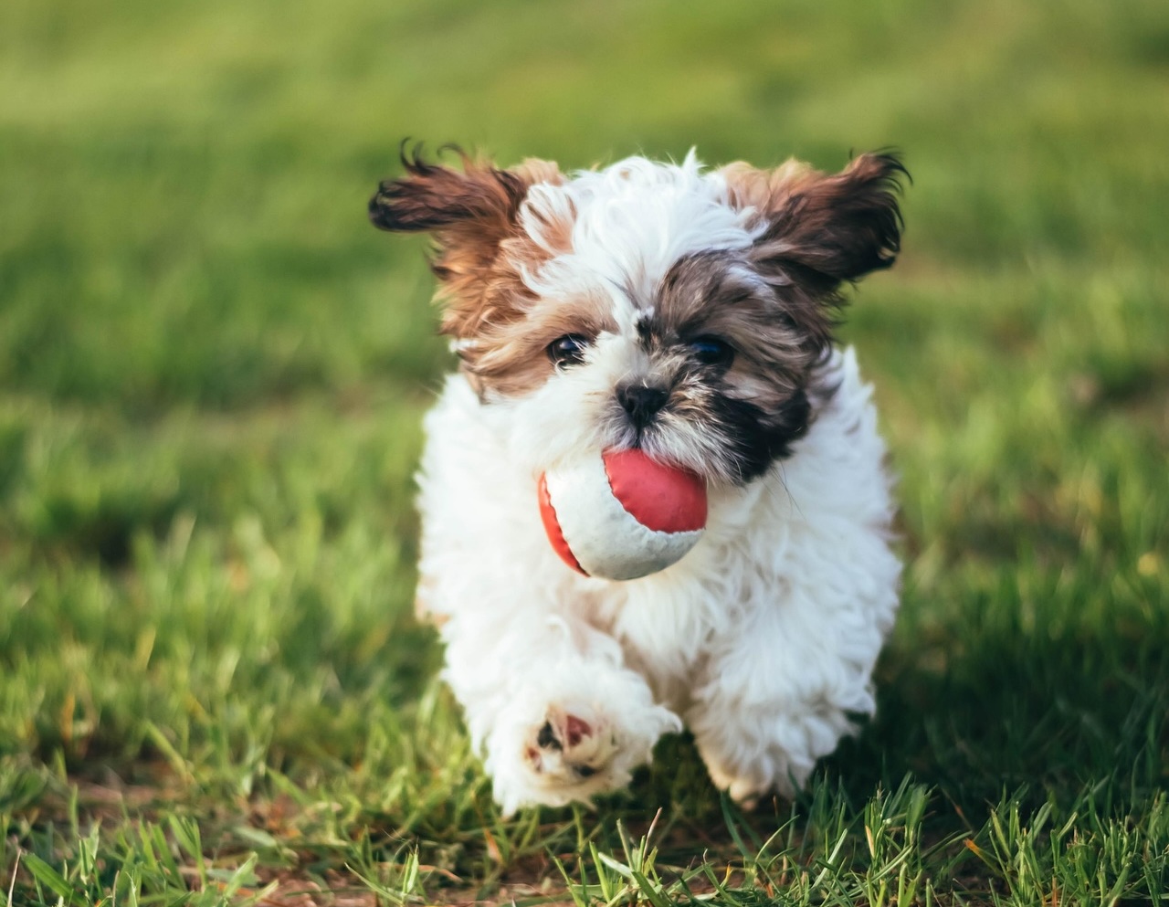 【2025.12/月次報告】大きな転換点を迎えている